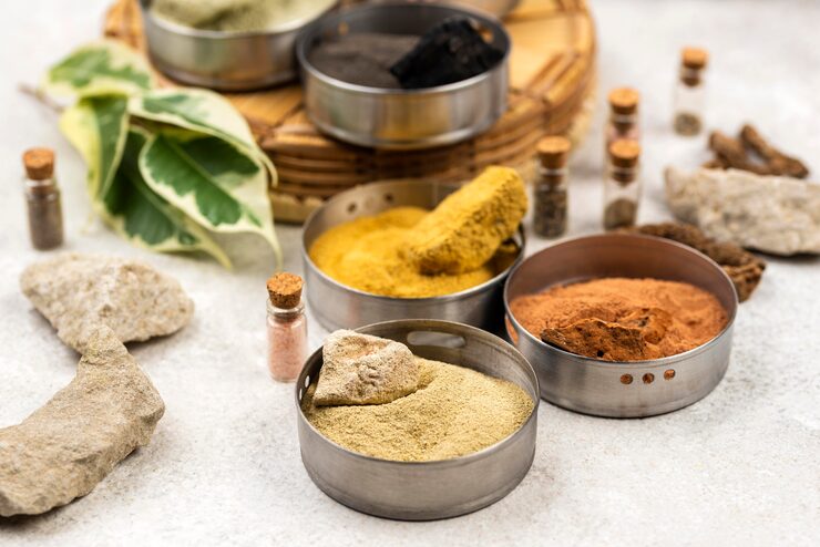The Ultimate Guide to Choosing the Best Ayurvedic Products in India: A Modern Wellness Perspective